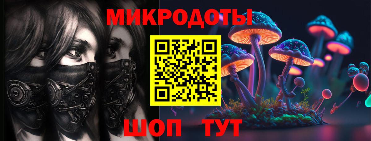 Псилоцибиновые грибы Psilocybe  Вход с VPN  Галлюциногенные грибы Psilocybe  Полысаево 