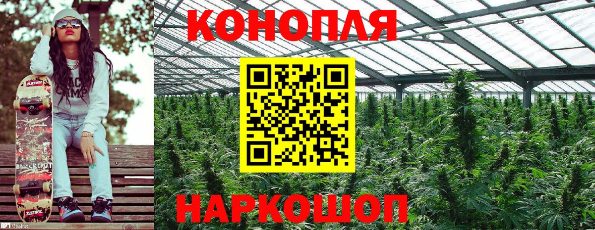 Бошки марихуана LSD WEED  Марихуана White Widow  Вход с VPN  Шишки марихуана семена  Полысаево  Марихуана Bruce Banner 
